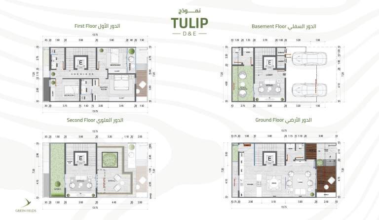 نموذج TULIP