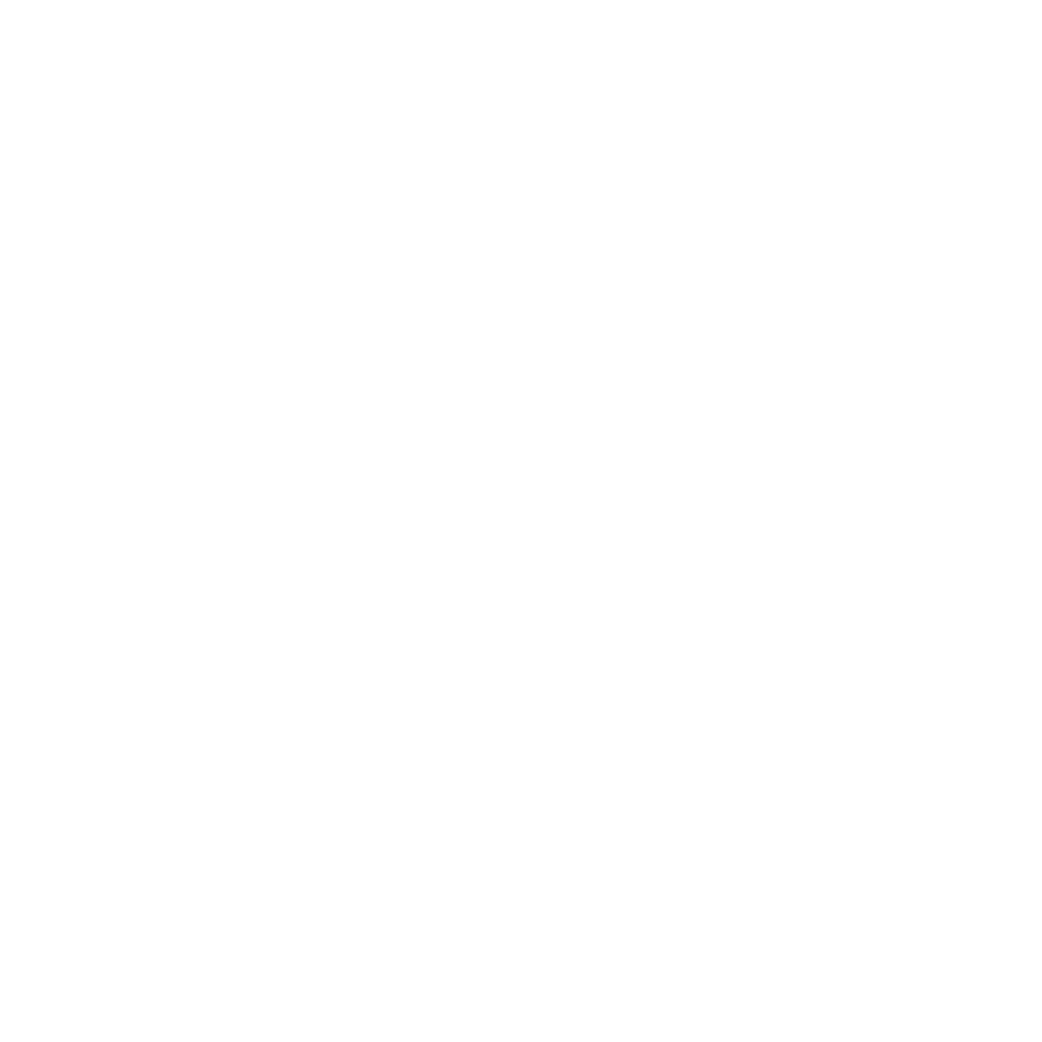 Partner Bsf