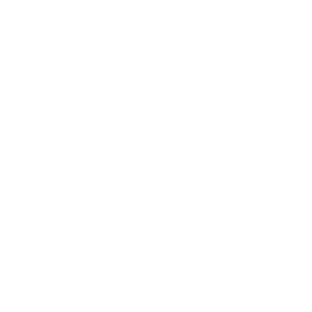 Partner Jazira