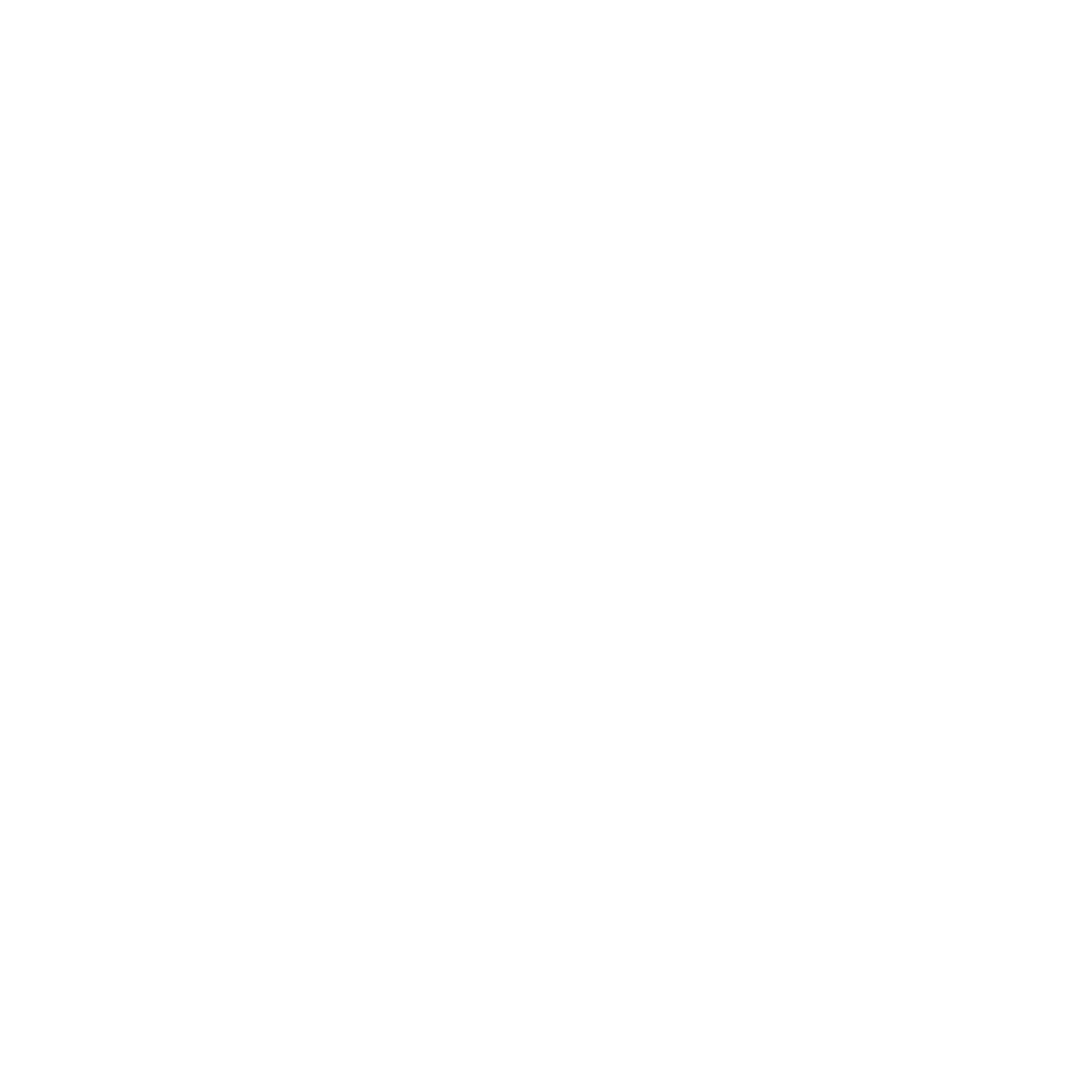 Partner Scb